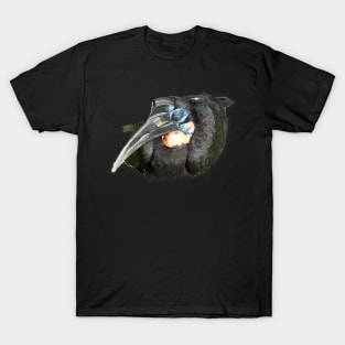 Abyssinian Ground Hornbill T-Shirt